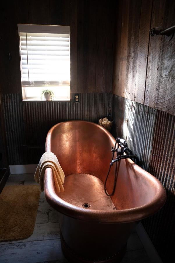 Nebo'S Foot, Hiking And Biking Escape With Game Shed Villa Dardanelle ภายนอก รูปภาพ